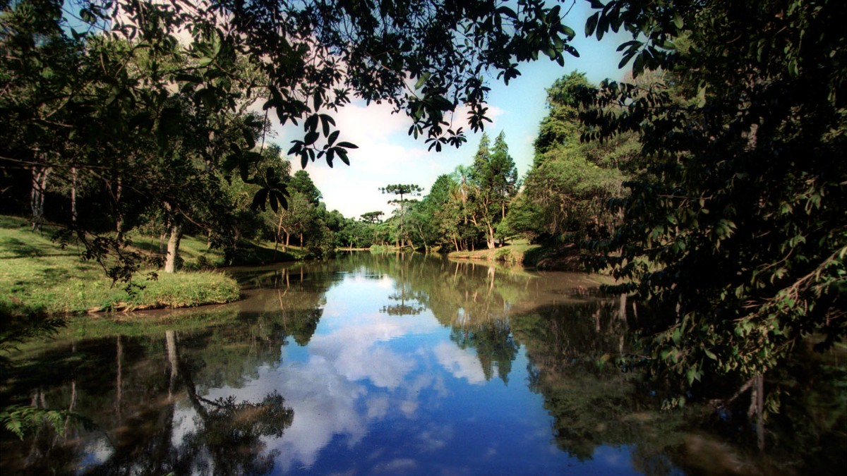 Parque Barreirinha em Curitiba: história e natureza no norte da cidade
